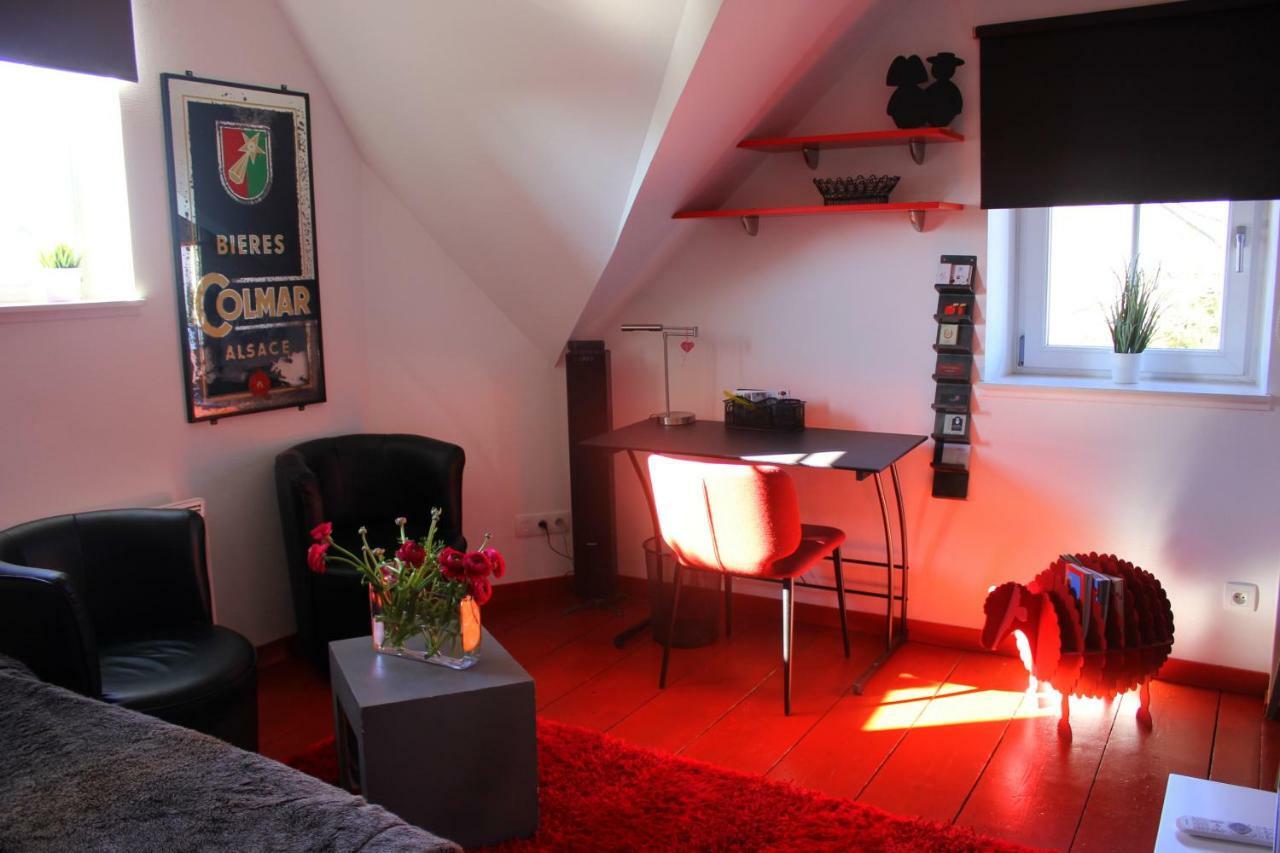 Studio De La Petite Venise Apartment Colmar Exterior foto